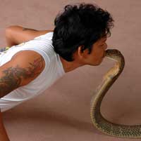 Snakekiss