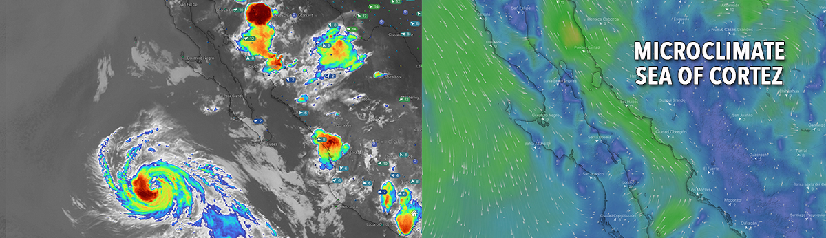 Microclimate of the Sea of Cortez