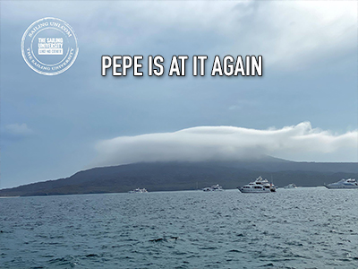 Pepe is at it again